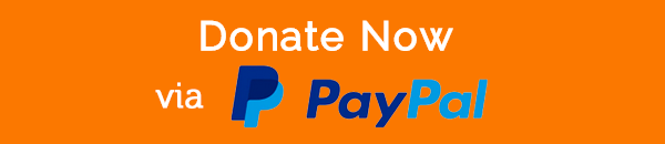donate_now_paypal